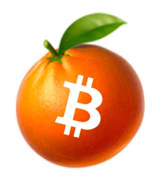 Florida Bitcoin orange